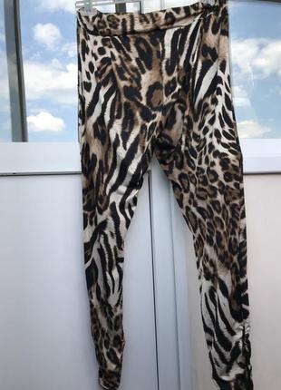 Штани / брюки / леопардові легінси на літо uk 122 фото