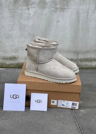Угги ugg classic mini light grey suede