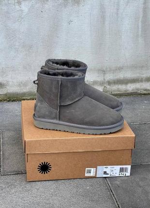 Уггі ugg classic mini grey suede