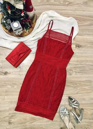 Платье красное кружевное missguided   коктейльное короткое платье из кружева 34/6/xs9 фото