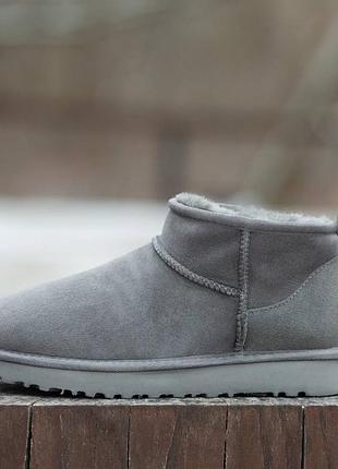 Жіночі уггі ugg classic ultra mini grey ультра міні сірого кольору