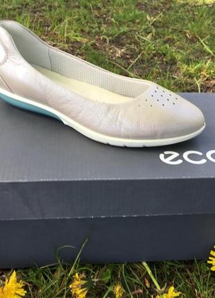 Женские   балетки   ecco sense light  284533 50555