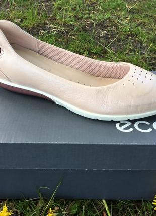 Женские   балетки   ecco sense light  284533 50492