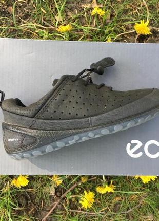 Детские кроссовки  ecco biom lite  702032 510524 фото