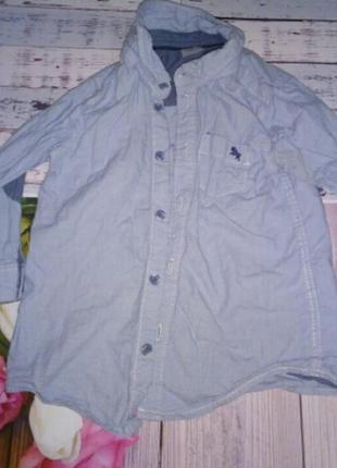 Симпатичная рубашечка