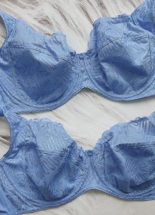 Блакитний бюстгальтер на чашку d