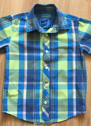 Рубашка для мальчика bluezoo,р.110-116,хлопок,бангладеш