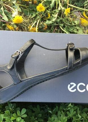 Женские сандалии ecco bouillon sandal  088073 010014 фото