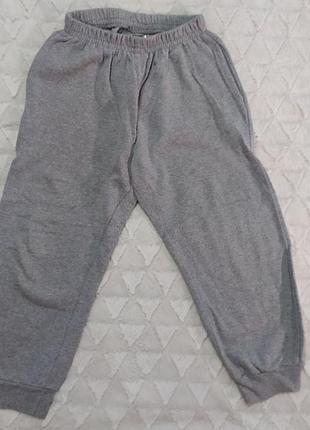 Теплі спортивні штани 116 розмір