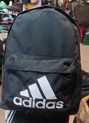 Рюкзак adidas Originals Terrex Agravic Boa