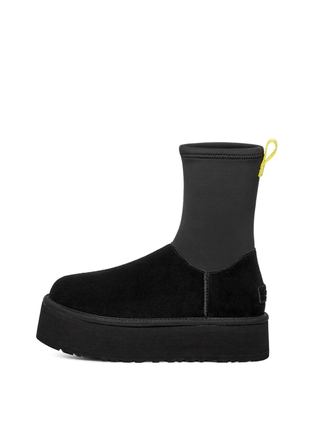 Жіночі Сапоги ugg lam.