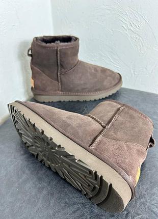 Ugg classic mini premium chocolate зима3 фото