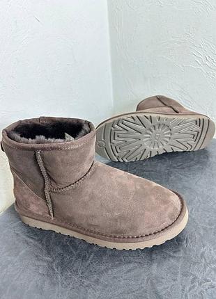 Ugg classic mini premium chocolate зима2 фото