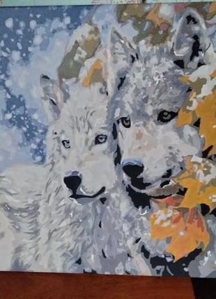 Картина номерам 40х50 намальована пара вовків. на подарунок!2 фото