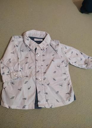 Сорочка next baby