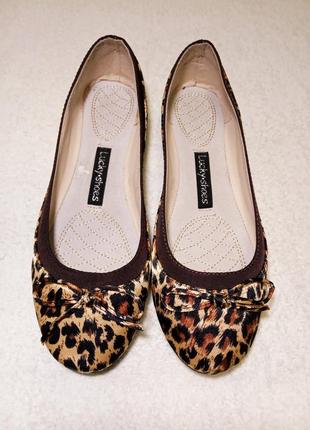 Балетки locky shoes 37-38 туфли с леопардовым принтом
