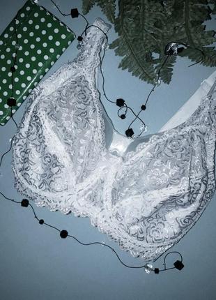 Бюстгальтер