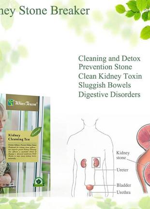 Трав'яний чай для очищення нирок і печінки kidney cleaning (20пак x2.5g)