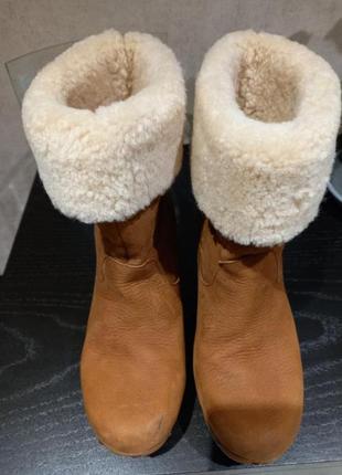 Кожаные сапоги ugg