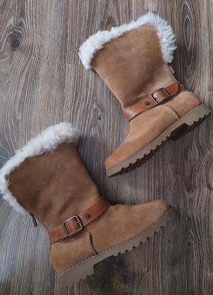 Теплые сапоги из натуральной замши и овчины от ugg1 фото