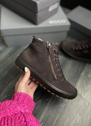 Зимние ecco soft 7 tred gore-tex