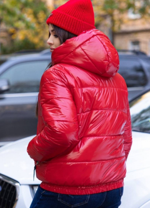 Куртка зимняя непромокаемая плащевка mancler 42-44, 46-48, 50-52, 54-56 013vlми3 фото