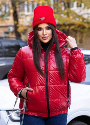 Куртка зимова непромокальна плащівка mancler 42-44, 46-48, 50-52, 54-56 013vlми