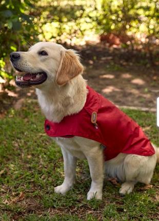 Плащ куртка joules дождевик красный для собак2 фото