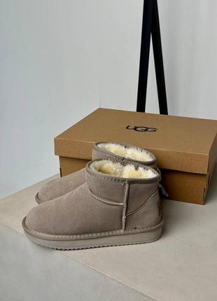 Женские теплые зимние замшевые сапоги ugg mini, женские зимние сапожки, ботинки бежевые угги. женская обувь8 фото