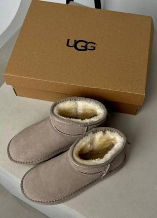 Женские теплые зимние замшевые сапоги ugg mini, женские зимние сапожки, ботинки бежевые угги. женская обувь10 фото