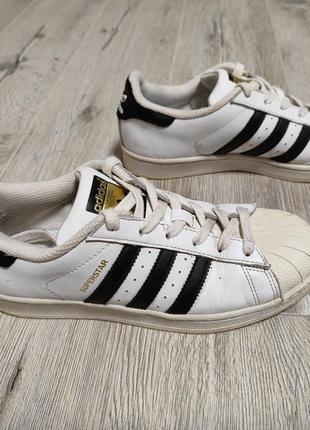 Кроссовки adidas superstar