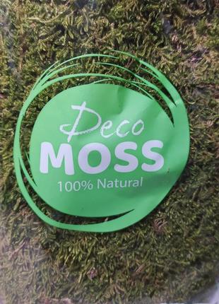 Искусственный мех нидерланды сток