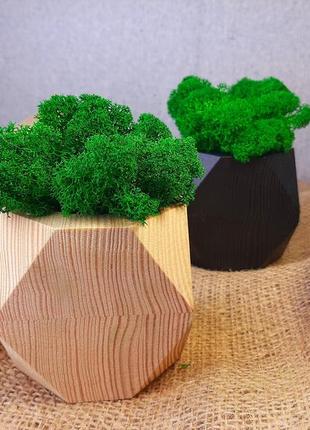 Деревяное кашпо со стабилизированным мхом черное, вазон со мхом, мох в горшке4 фото