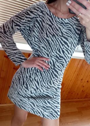 Сукня туніка зебра трикотажне плаття рукав кажан1 фото
