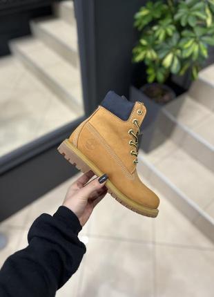 Черевики timberland1 фото