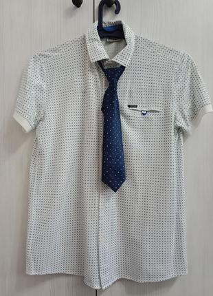 Рубашка,галстук cegisa (турция)1 фото