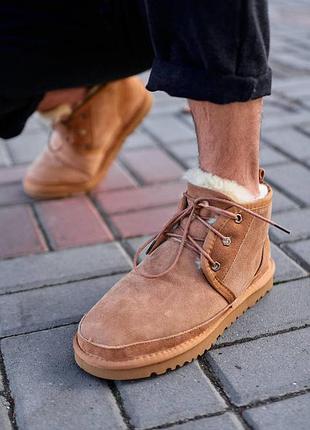 Чоловічі ugg neumel chestnut, замша, утеплені хутром, зимові