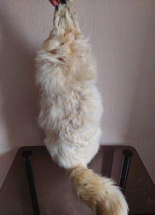 Мех песец целая шкурка 80 см