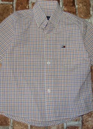 Котон рубашка мальчику тениска 4 года tommy hilfiger