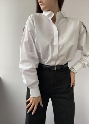Базовая белая рубашка/рубашка от peter drew