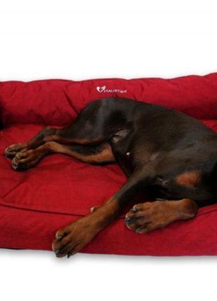 Лежак для собак sweet dreams winter cherry вологостійкий xl - 100х70х28см7 фото