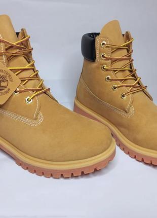 Черевики timberland