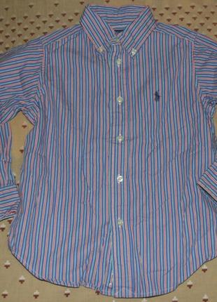 Рубашка мальчику котон 4 года polo ralph lauren