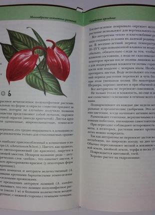 Книга-ециклопедія "кімнатні рослини" чуб у. леза до.3 фото