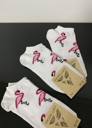 Шкарпетки жіночі з принтом