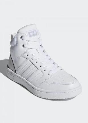 Кросівки  adidas cloudfoam super hoops w db0310