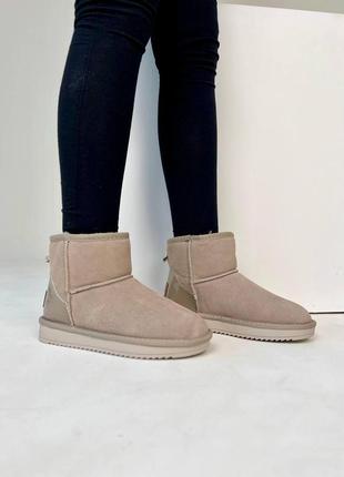 Женские теплые зимние замшевые сапоги ugg mini, женские зимние сапожки, ботинки бежевые угги. женская обувь2 фото