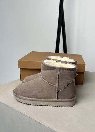 Женские теплые зимние замшевые сапоги ugg mini, женские зимние сапожки, ботинки бежевые угги. женская обувь8 фото