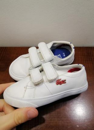 Кеды lacoste2 фото