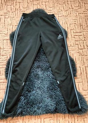 Спортивные штаны adidas